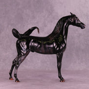 Sargas LE-10 EFCM Arabian Stallion by Ashley Palmer ZS25