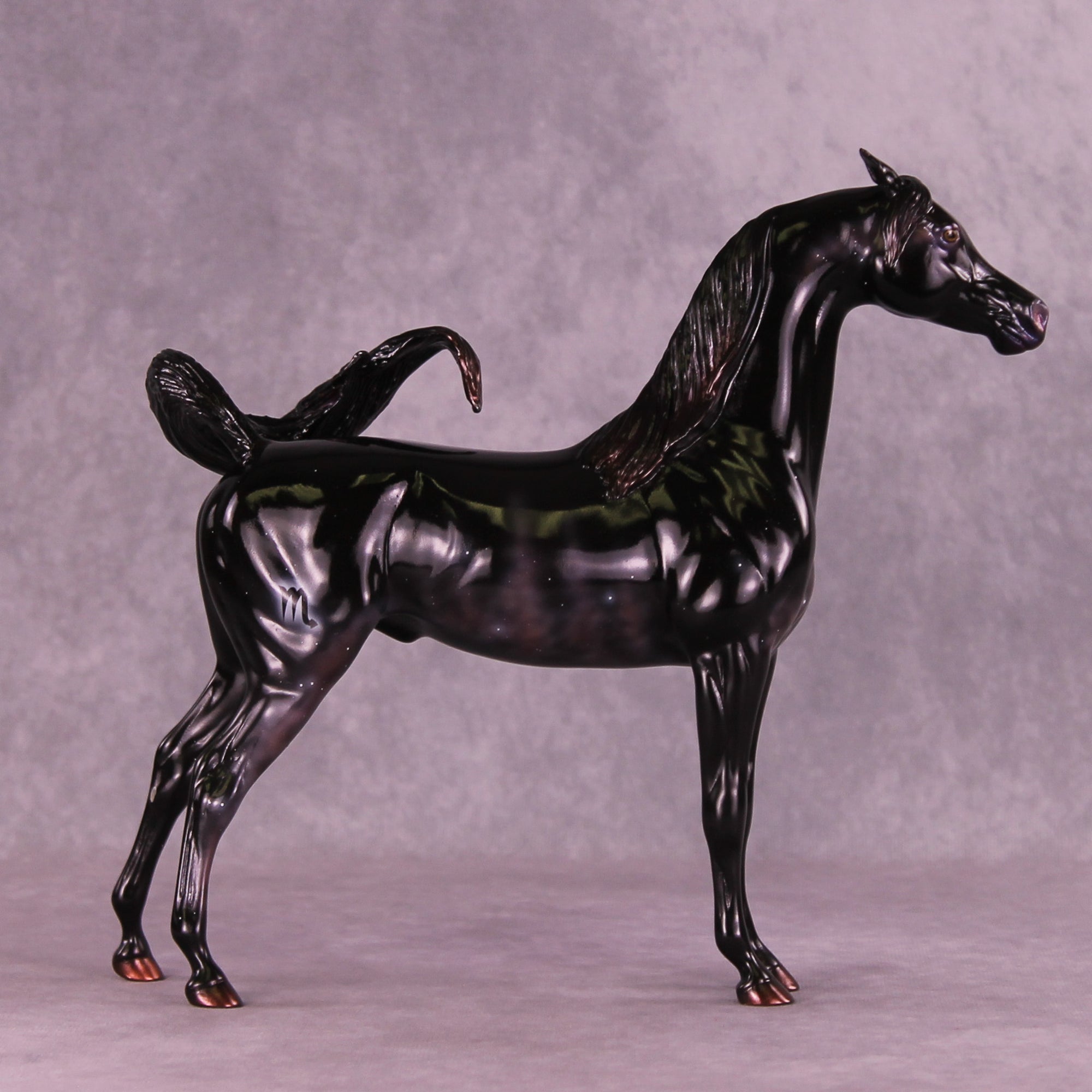 Sargas LE-10 EFCM Arabian Stallion by Ashley Palmer ZS25