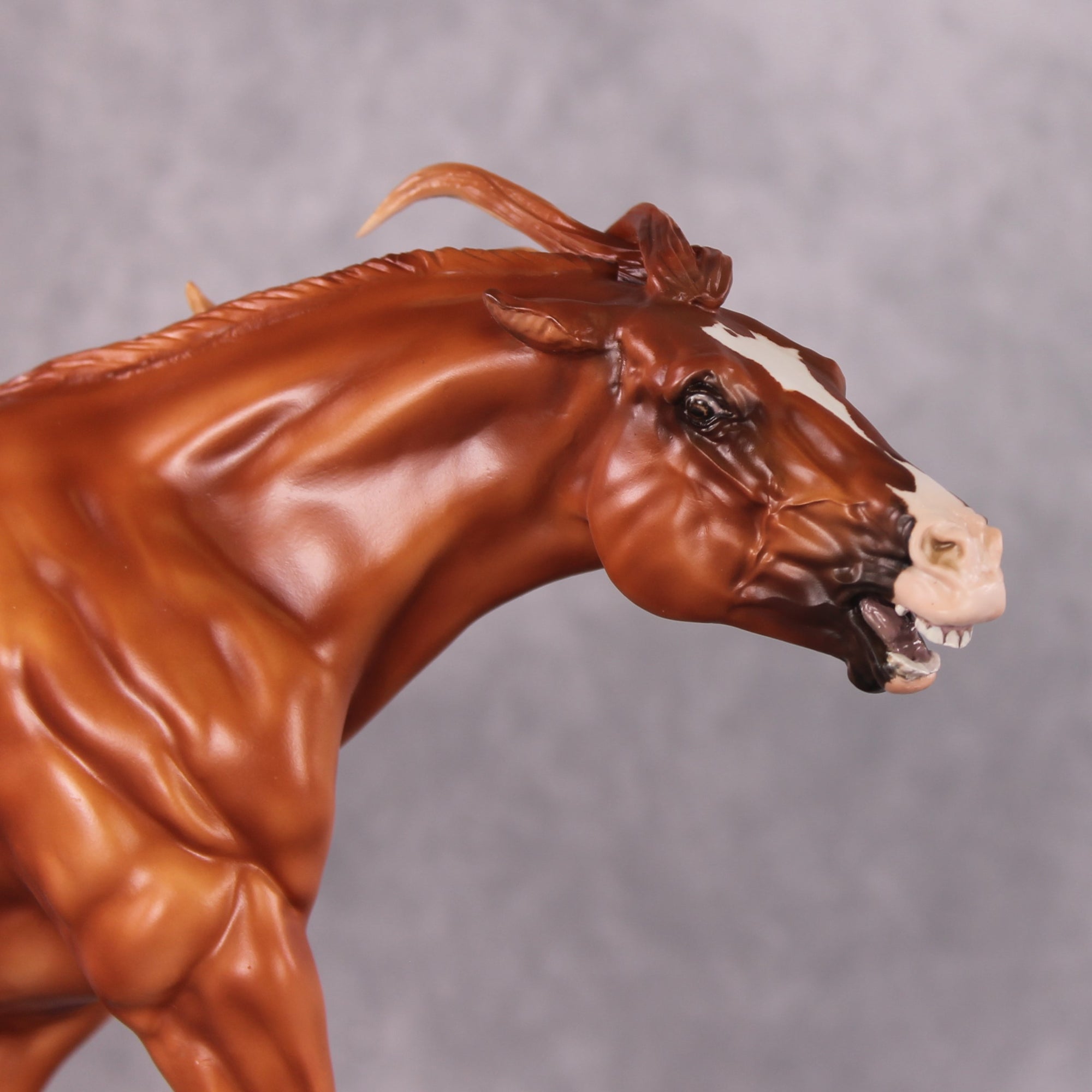 "Saladin" OOAK EFCM Remington By Maggie Jenner-Bennett