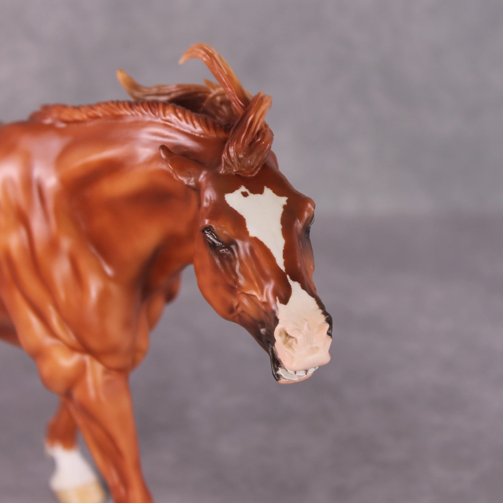 "Saladin" OOAK EFCM Remington By Maggie Jenner-Bennett