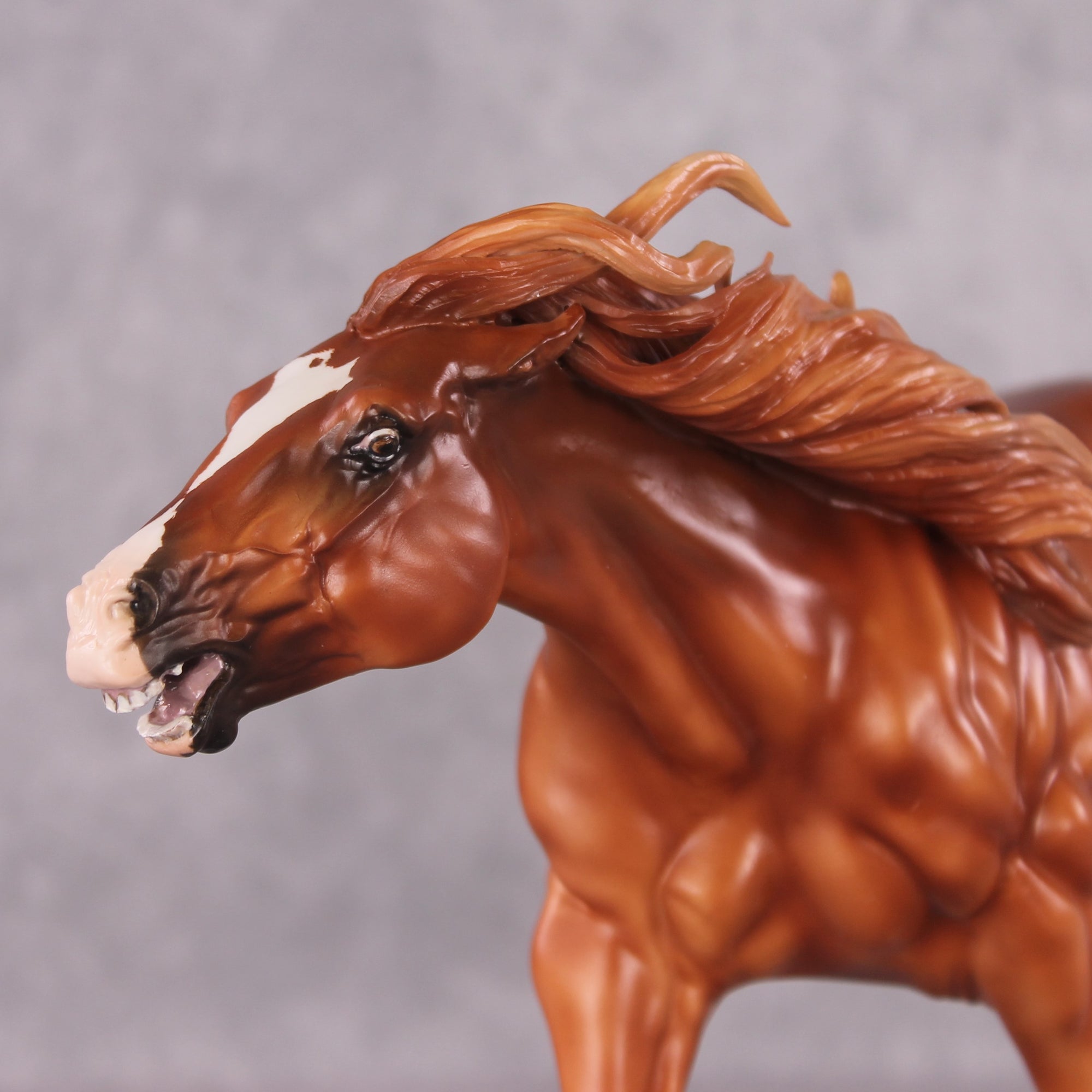 "Saladin" OOAK EFCM Remington By Maggie Jenner-Bennett