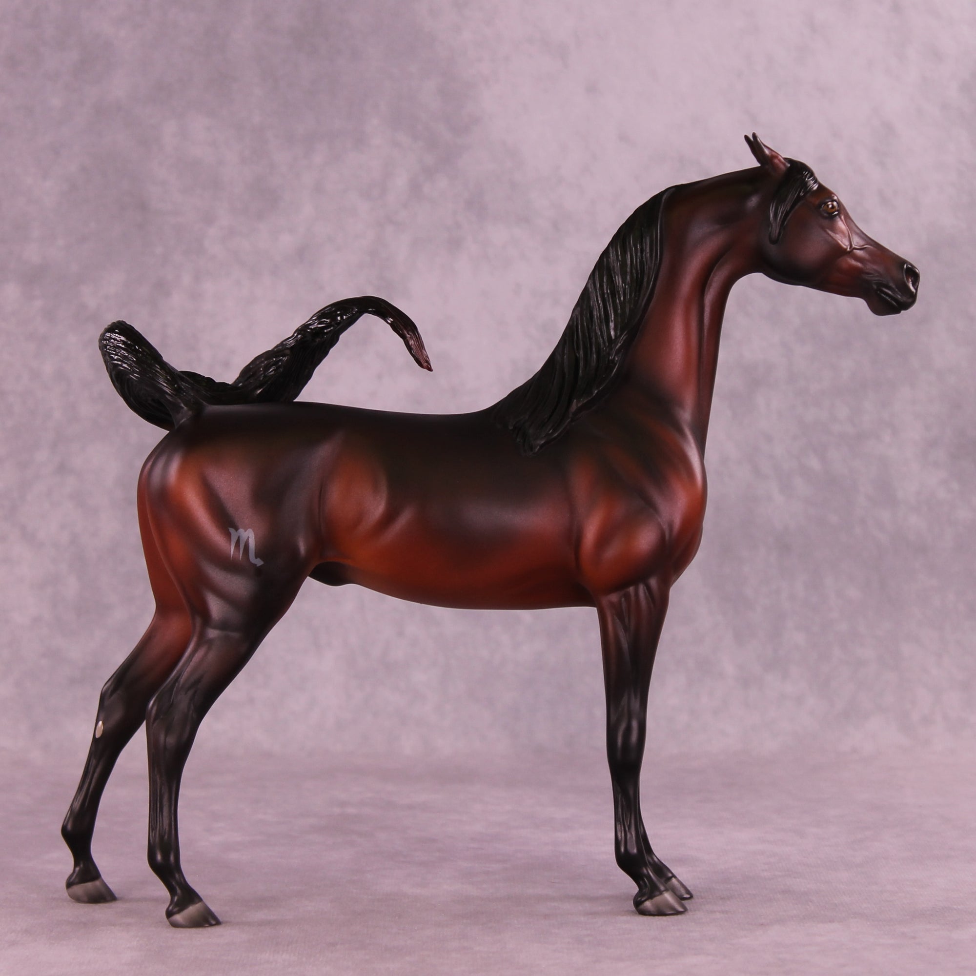 Antares LE-10 EFCM Arabian Stallion by Ashley Palmer ZS25