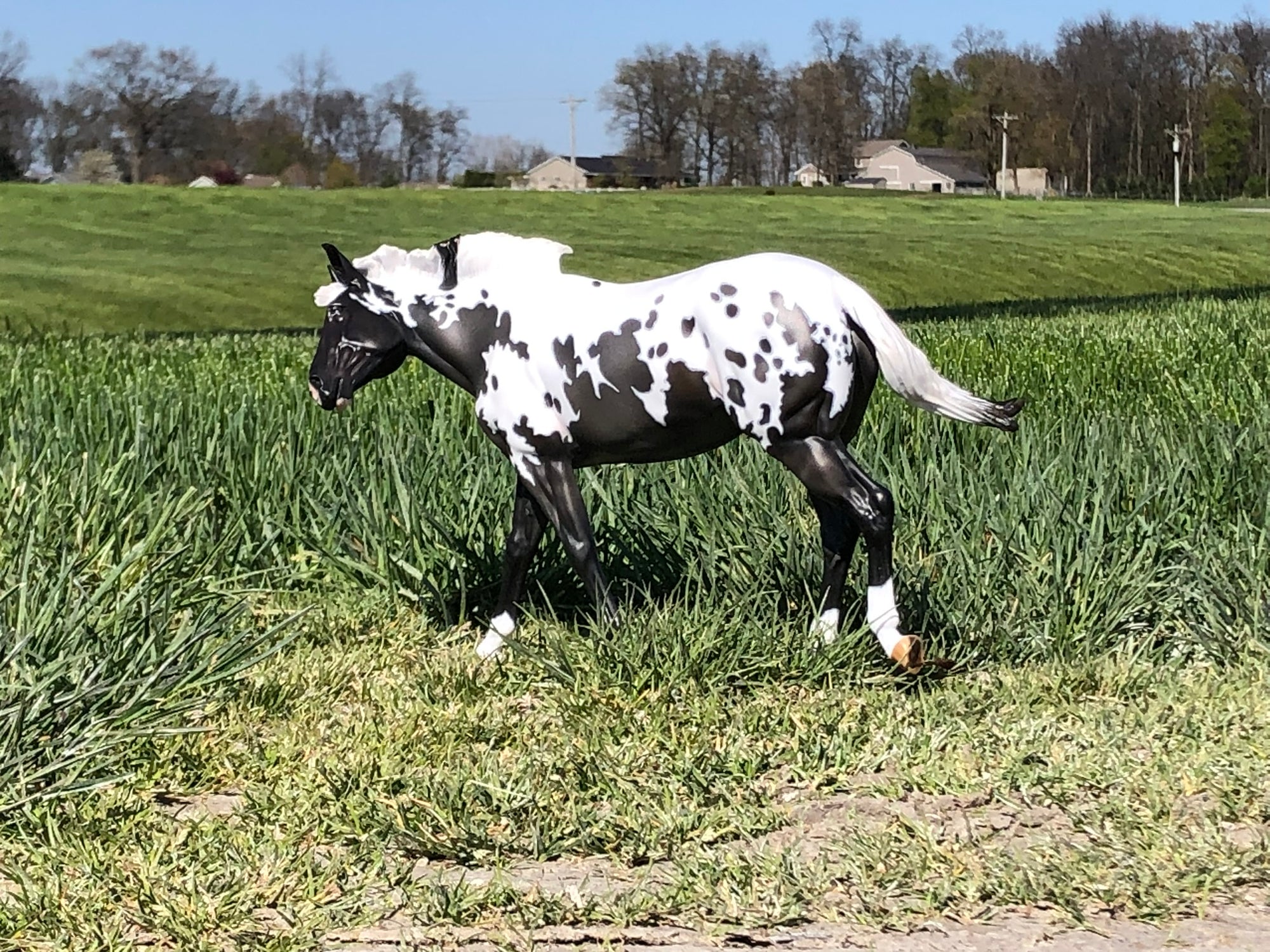 Sprinkles LE 5 Extreme Custom Pintaloosa Mule By Ashley Palmer - SHCF24