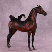 Antares LE-10 EFCM Arabian Stallion by Ashley Palmer ZS25