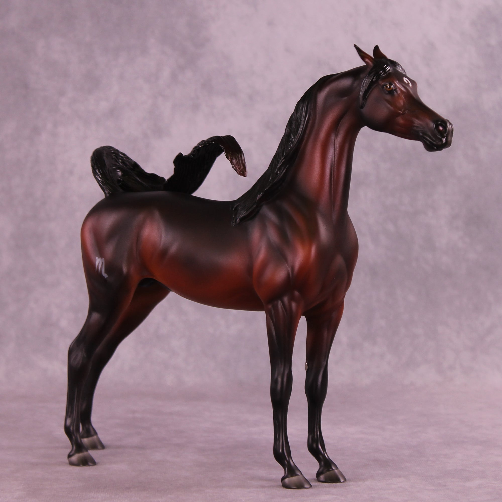 Antares LE-10 EFCM Arabian Stallion by Ashley Palmer ZS25