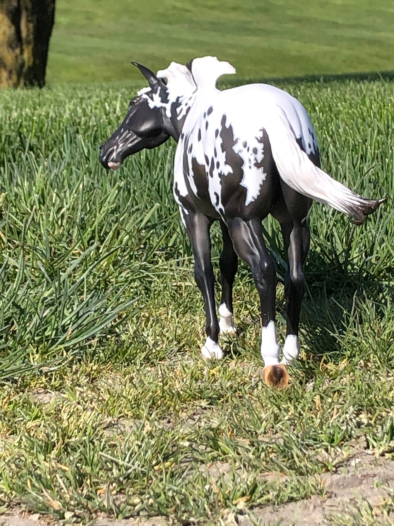 Sprinkles LE 5 Extreme Custom Pintaloosa Mule By Ashley Palmer - SHCF24
