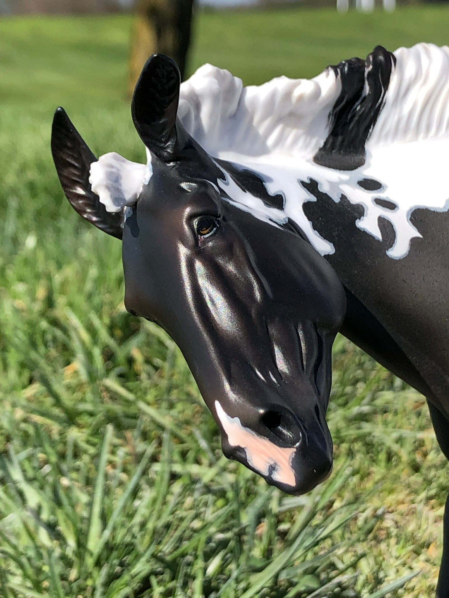 Sprinkles LE 5 Extreme Custom Pintaloosa Mule By Ashley Palmer - SHCF24