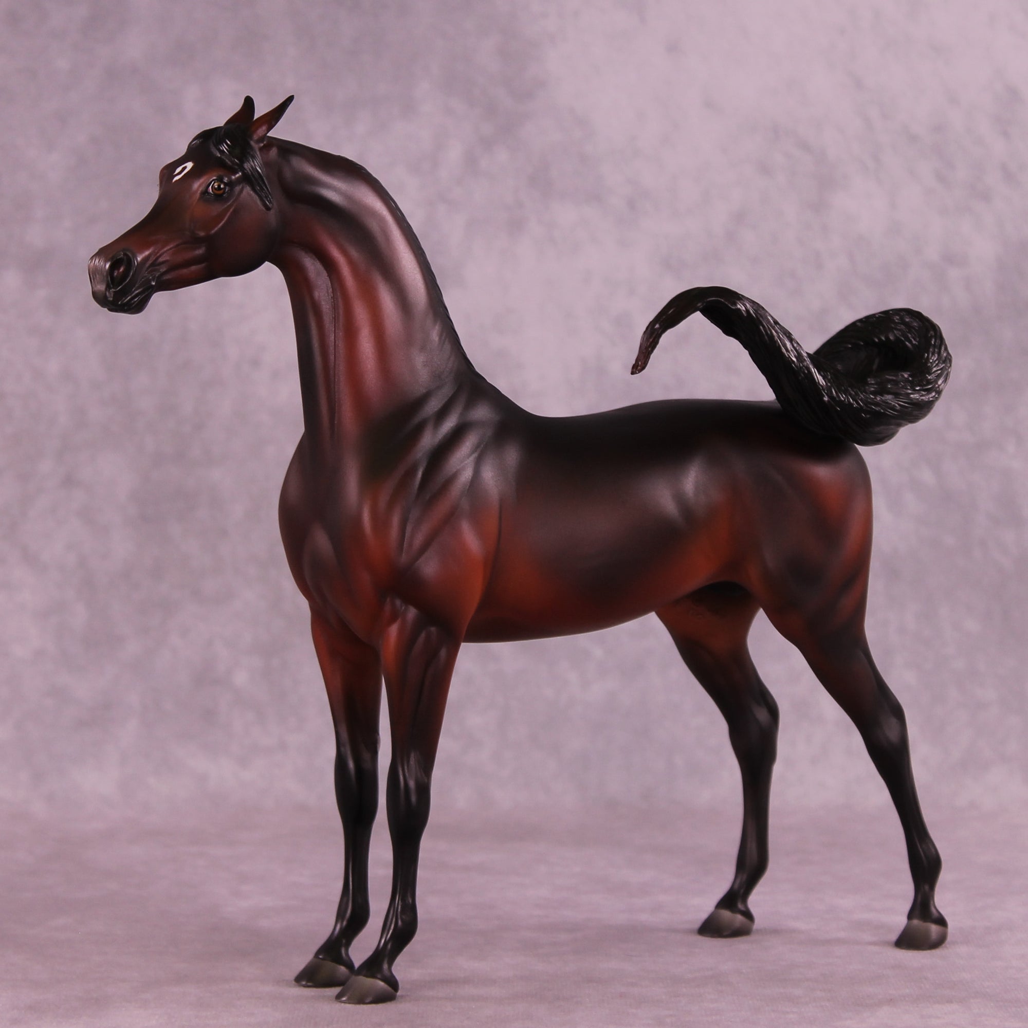 Antares LE-10 EFCM Arabian Stallion by Ashley Palmer ZS25