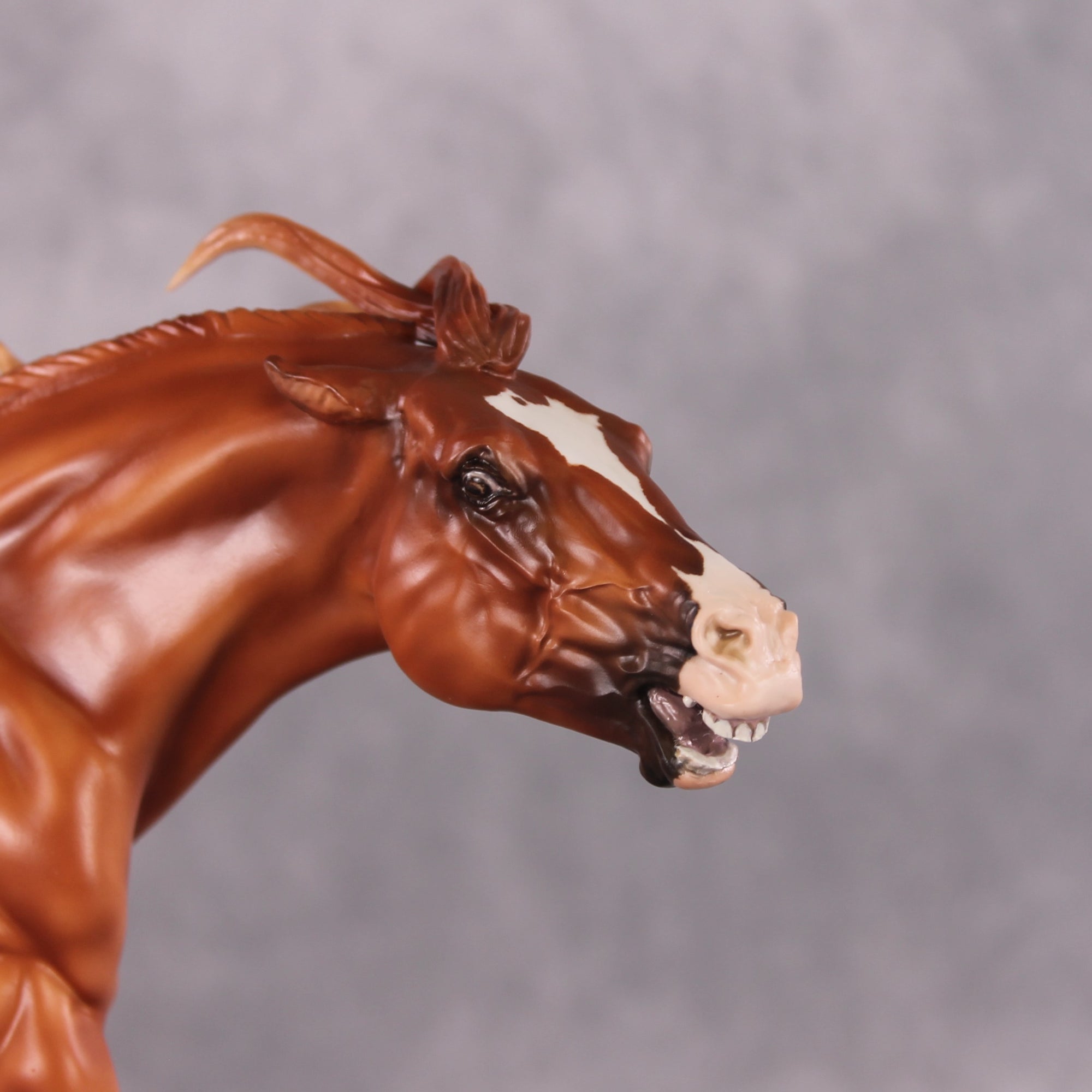 "Saladin" OOAK EFCM Remington By Maggie Jenner-Bennett