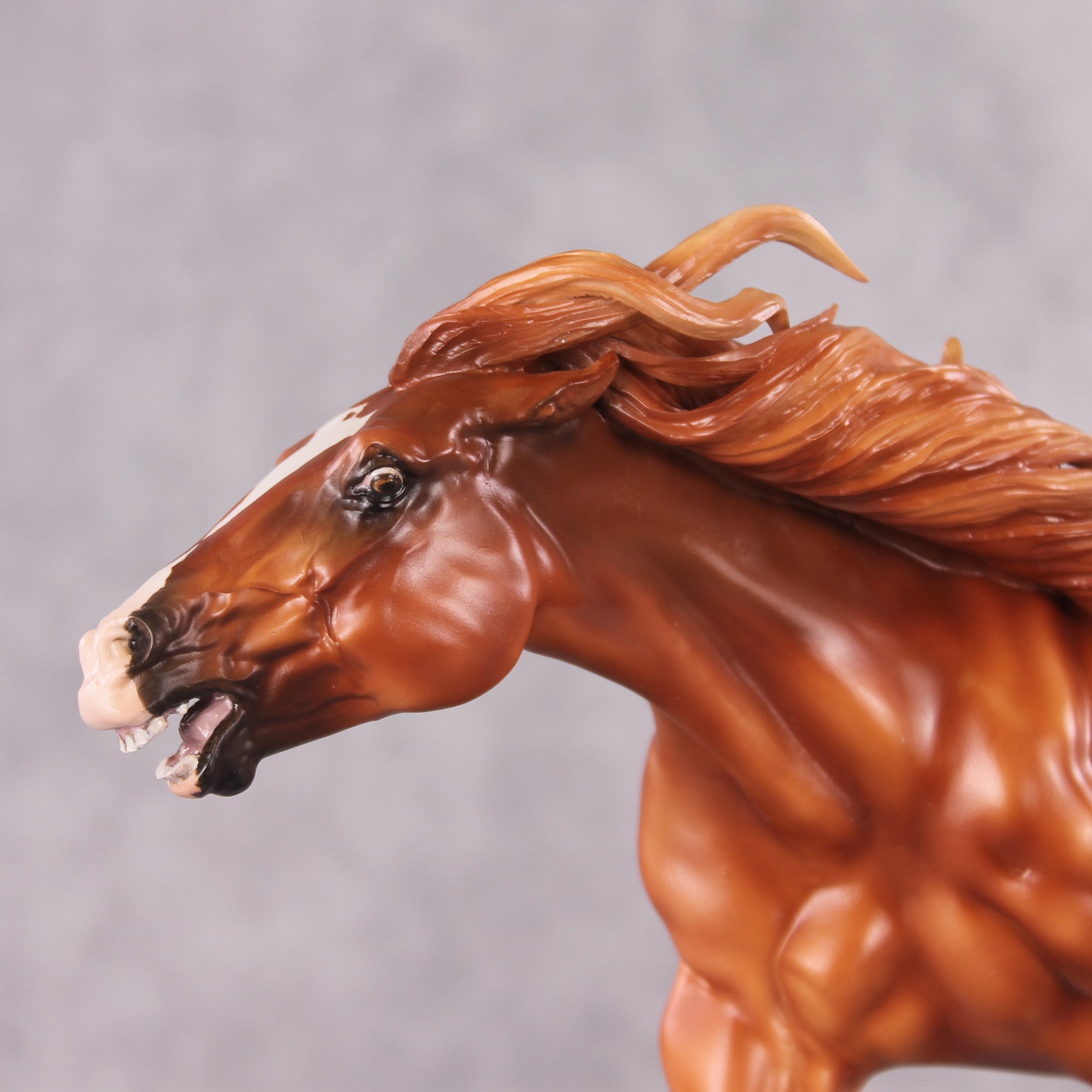 "Saladin" OOAK EFCM Remington By Maggie Jenner-Bennett