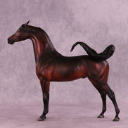 Antares LE-10 EFCM Arabian Stallion by Ashley Palmer ZS25