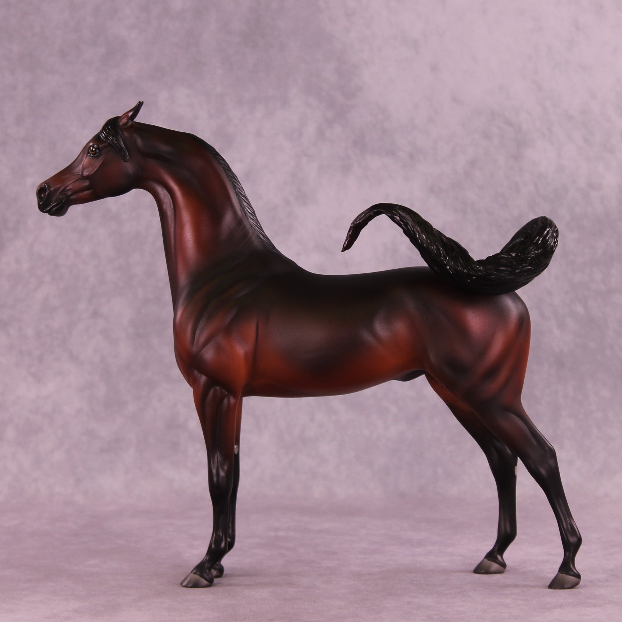 Antares LE-10 EFCM Arabian Stallion by Ashley Palmer ZS25