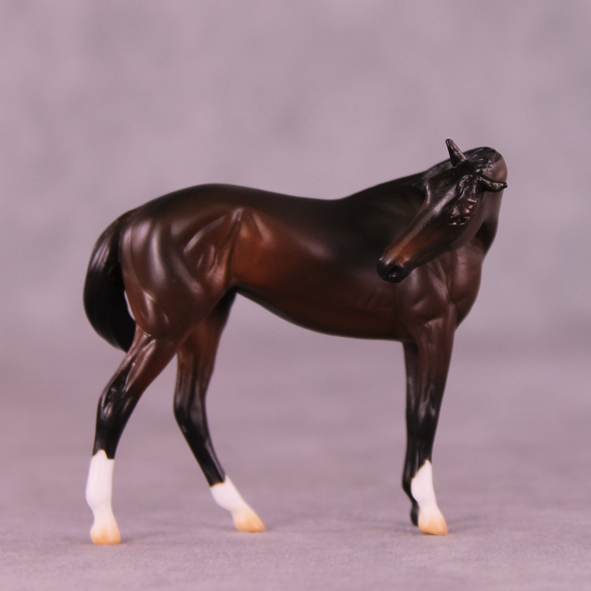 Paparazzi &amp; Flash Photography Set OOAK EFCM Chip Set by Erika Isbell Best Offer 10/7/25