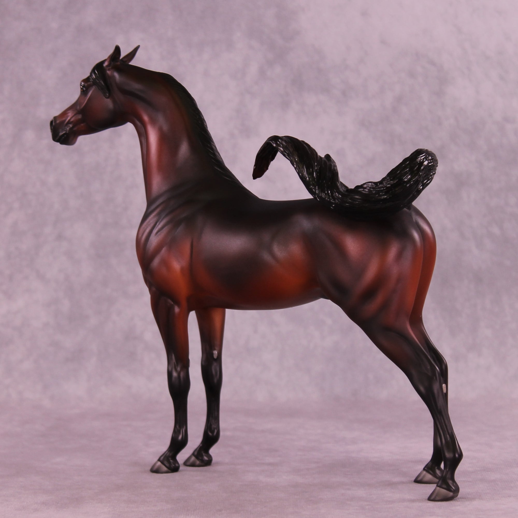 Antares LE-10 EFCM Arabian Stallion by Ashley Palmer ZS25