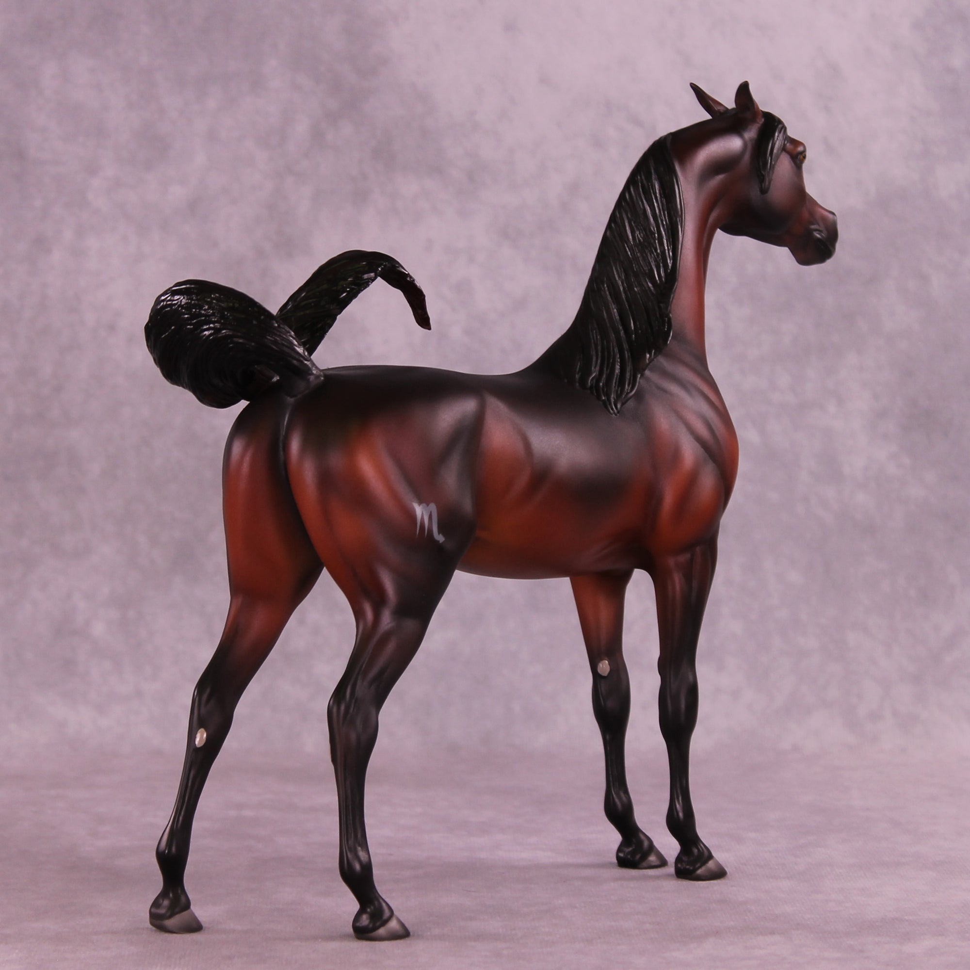 Antares LE-10 EFCM Arabian Stallion by Ashley Palmer ZS25