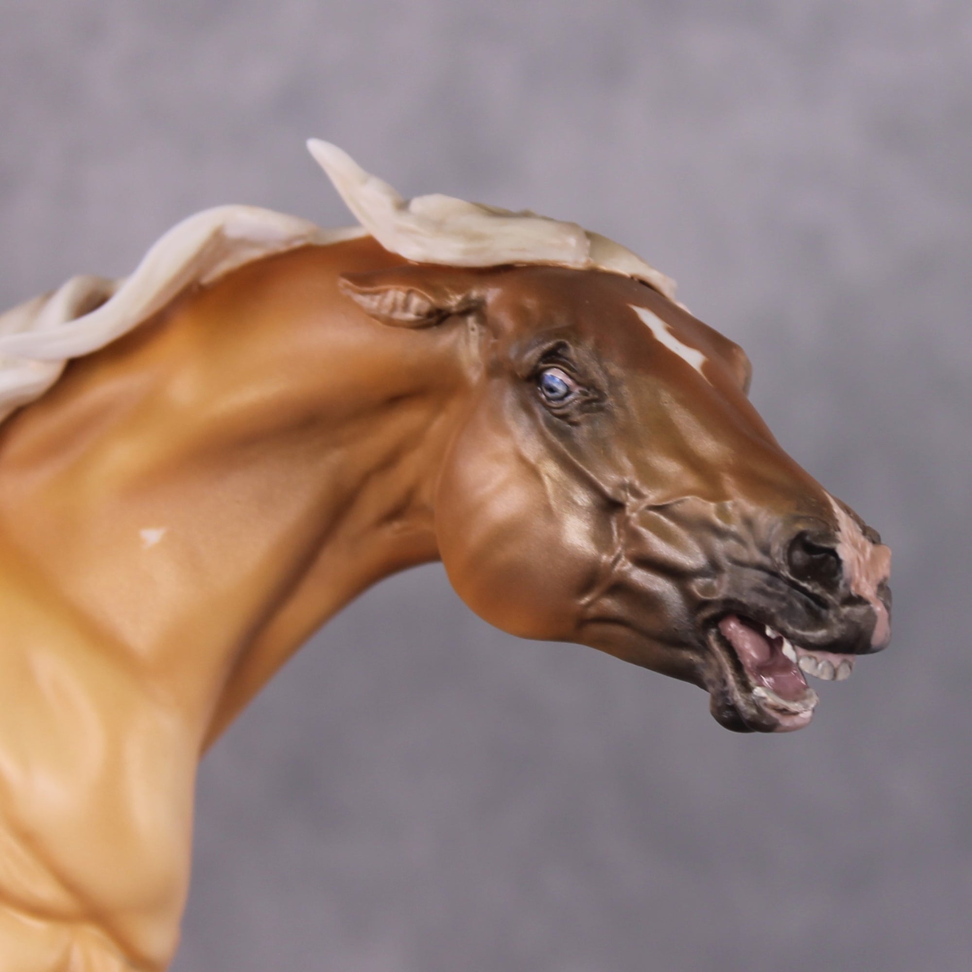 "Stede Bonnet" OOAK EFCM Remington By Maggie Jenner-Bennett