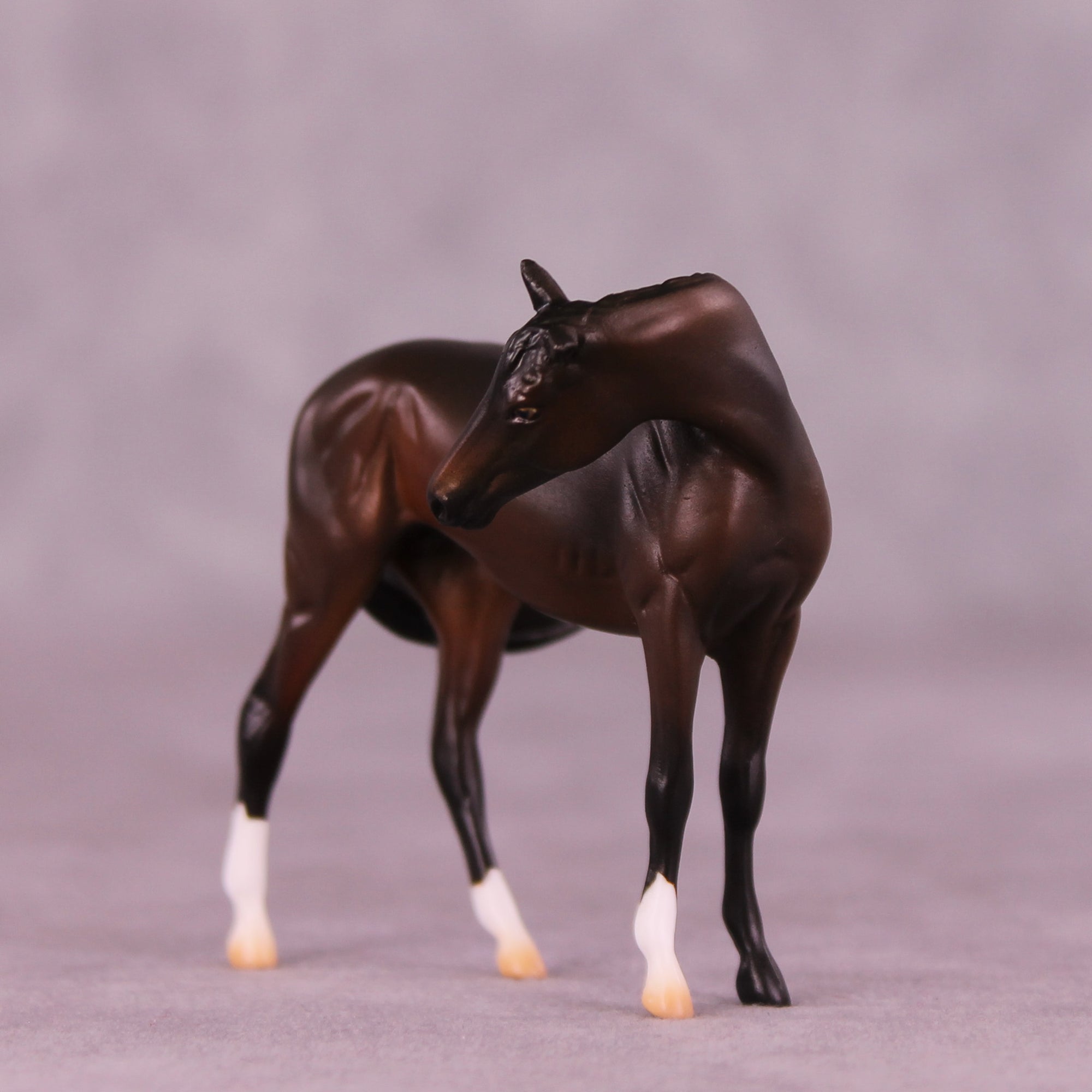 Paparazzi &amp; Flash Photography Set OOAK EFCM Chip Set by Erika Isbell Best Offer 10/7/25