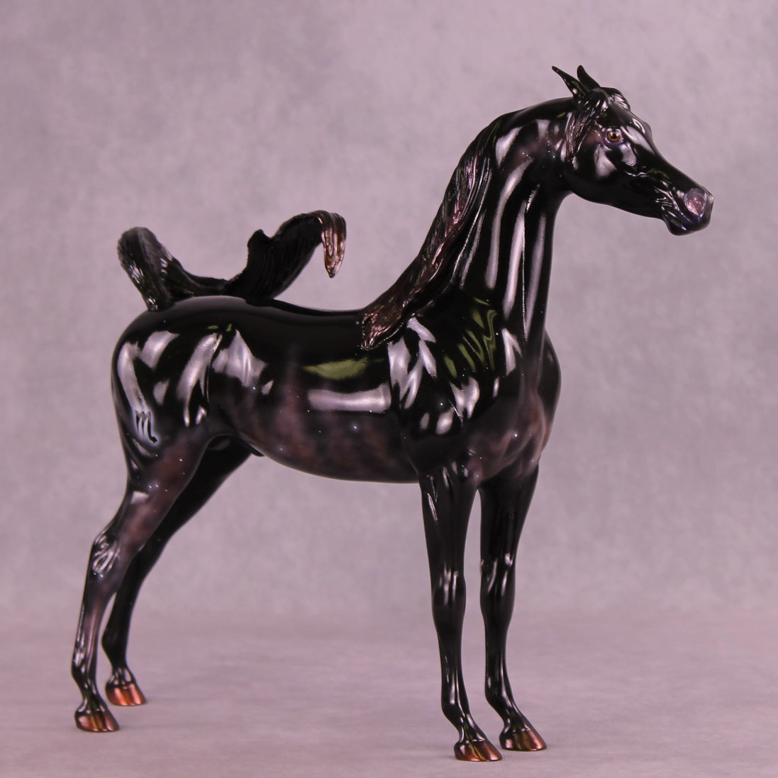 Sargas LE-10 EFCM Arabian Stallion by Ashley Palmer ZS25