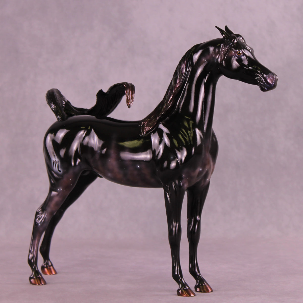 Sargas LE-10 EFCM Arabian Stallion by Ashley Palmer ZS25