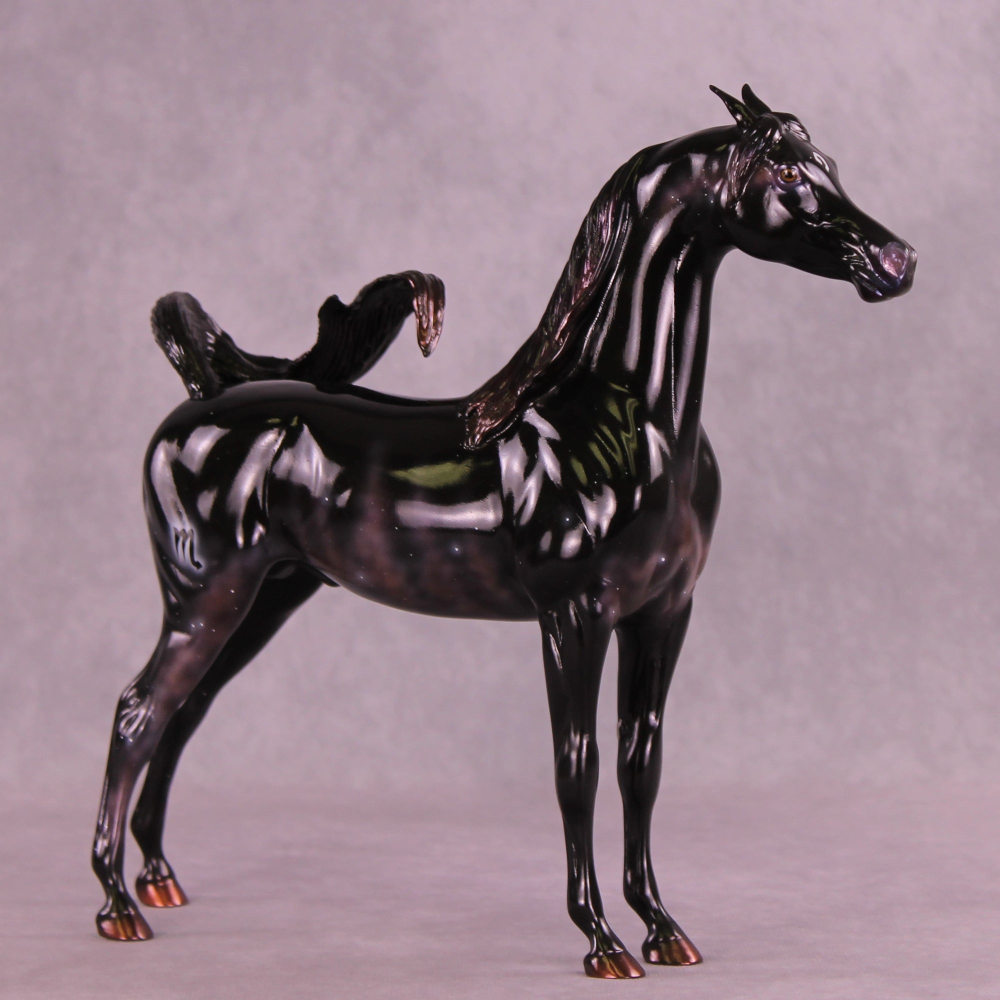 Sargas LE-10 EFCM Arabian Stallion by Ashley Palmer ZS25