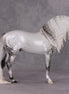Dazzled Dream OOAK Light Dapple Pearl Grey W/ Blue Interference Andalusian By Ellen Robbins HS24 Online Drawing OOAK