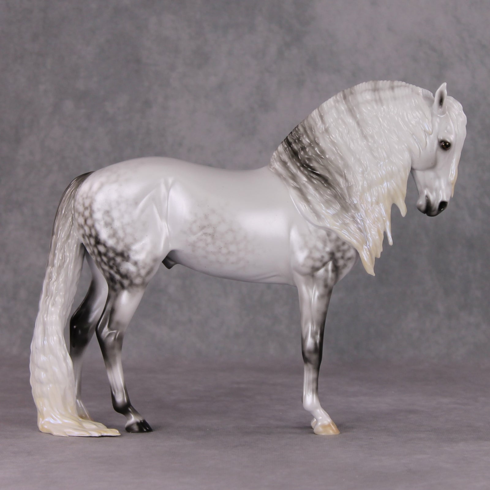 Dazzled Dream OOAK Light Dapple Pearl Grey W/ Blue Interference Andalusian By Ellen Robbins HS24 Online Drawing OOAK