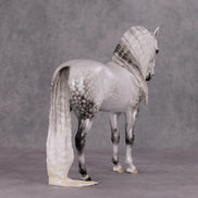 Dazzled Dream OOAK Light Dapple Pearl Grey W/ Blue Interference Andalusian By Ellen Robbins HS24 Online Drawing OOAK