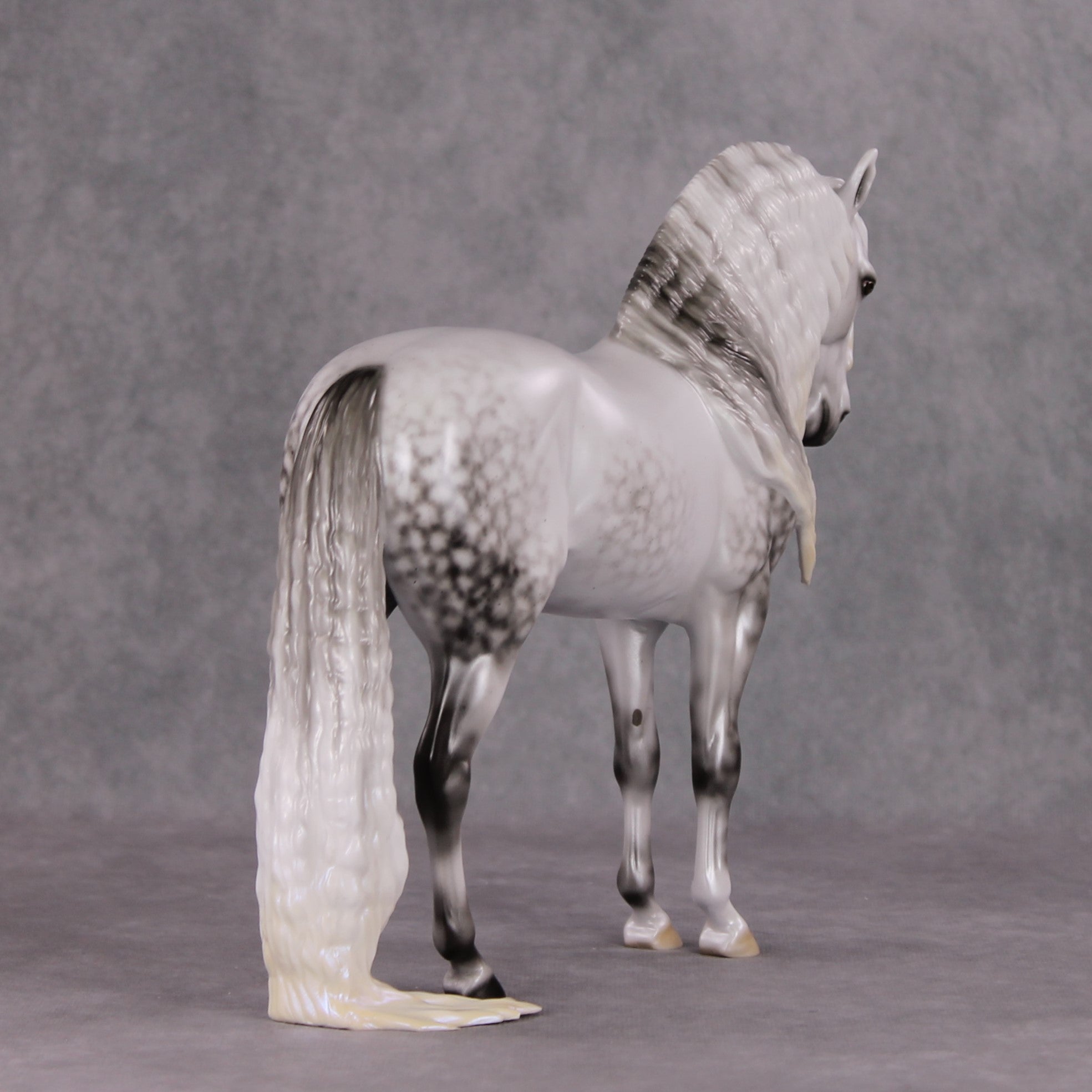 Dazzled Dream OOAK Light Dapple Pearl Grey W/ Blue Interference Andalusian By Ellen Robbins HS24 Online Drawing OOAK