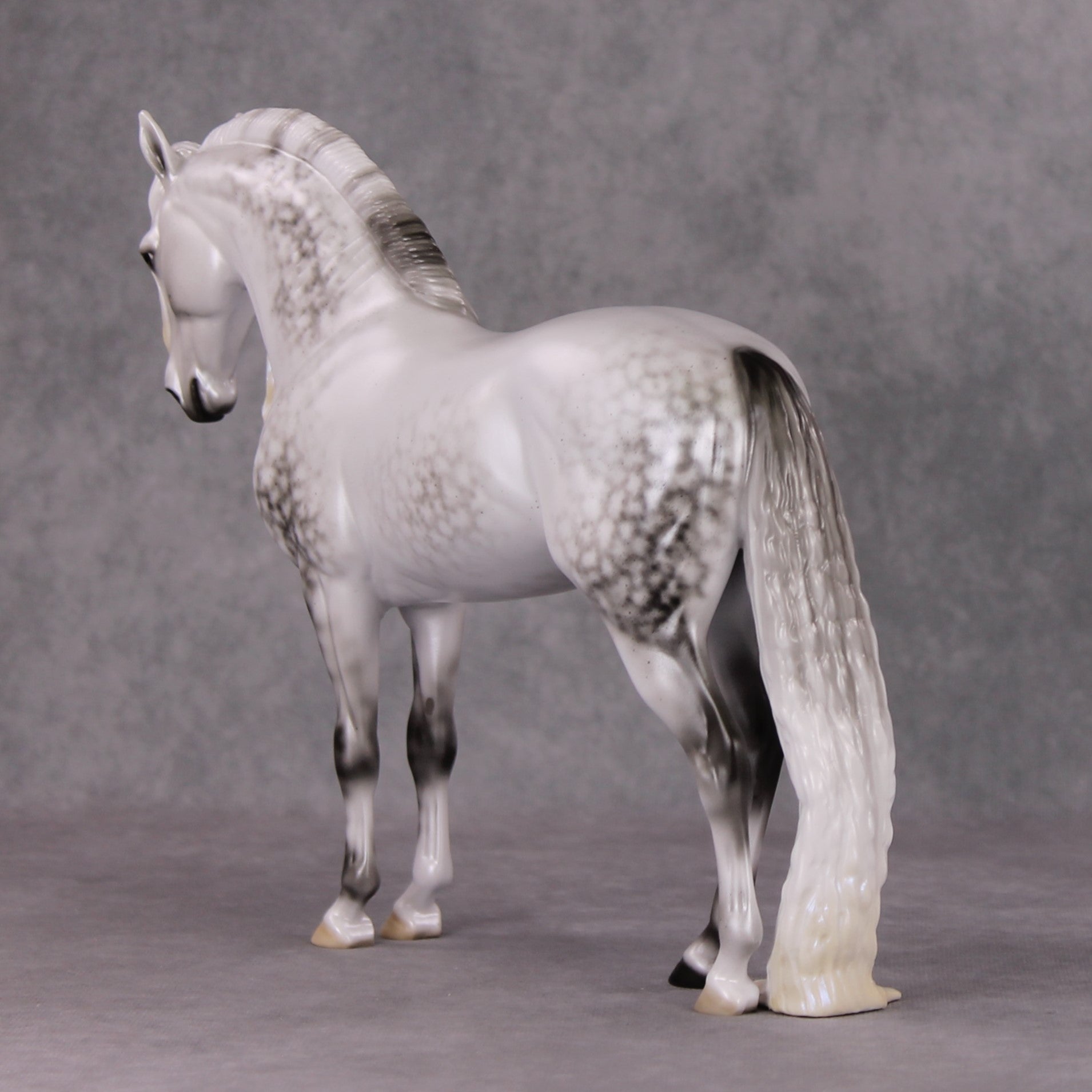 Dazzled Dream OOAK Light Dapple Pearl Grey W/ Blue Interference Andalusian By Ellen Robbins HS24 Online Drawing OOAK