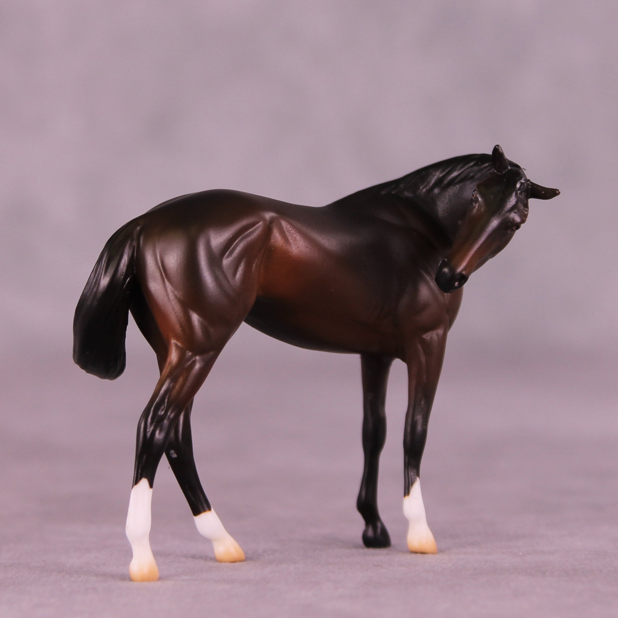 Paparazzi &amp; Flash Photography Set OOAK EFCM Chip Set by Erika Isbell Best Offer 10/7/25