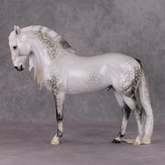 Dazzled Dream OOAK Light Dapple Pearl Grey W/ Blue Interference Andalusian By Ellen Robbins HS24 Online Drawing OOAK