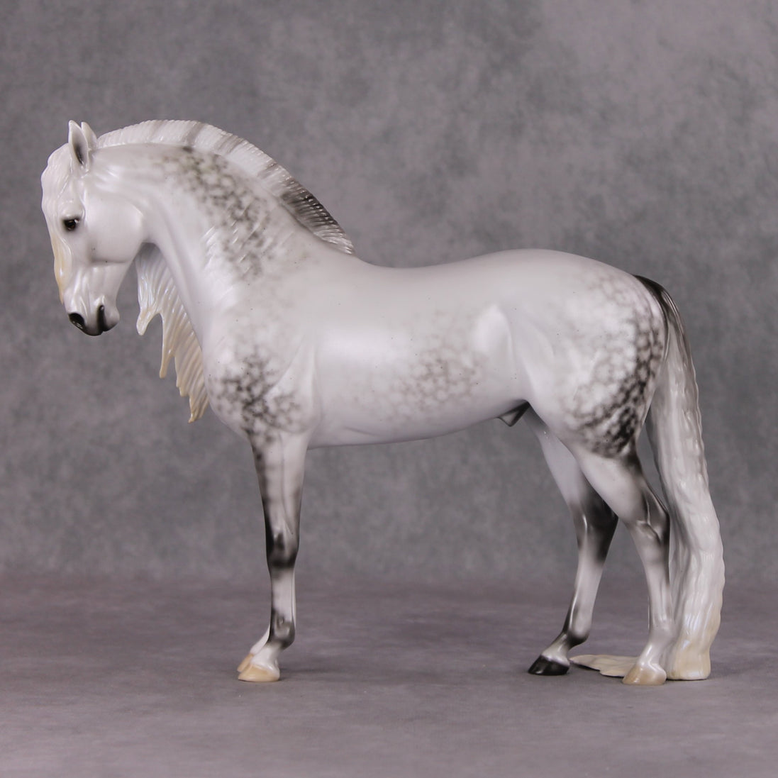 Dazzled Dream OOAK Light Dapple Pearl Grey W/ Blue Interference Andalusian By Ellen Robbins HS24 Online Drawing OOAK