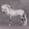 Dazzled Dream OOAK Light Dapple Pearl Grey W/ Blue Interference Andalusian By Ellen Robbins HS24 Online Drawing OOAK