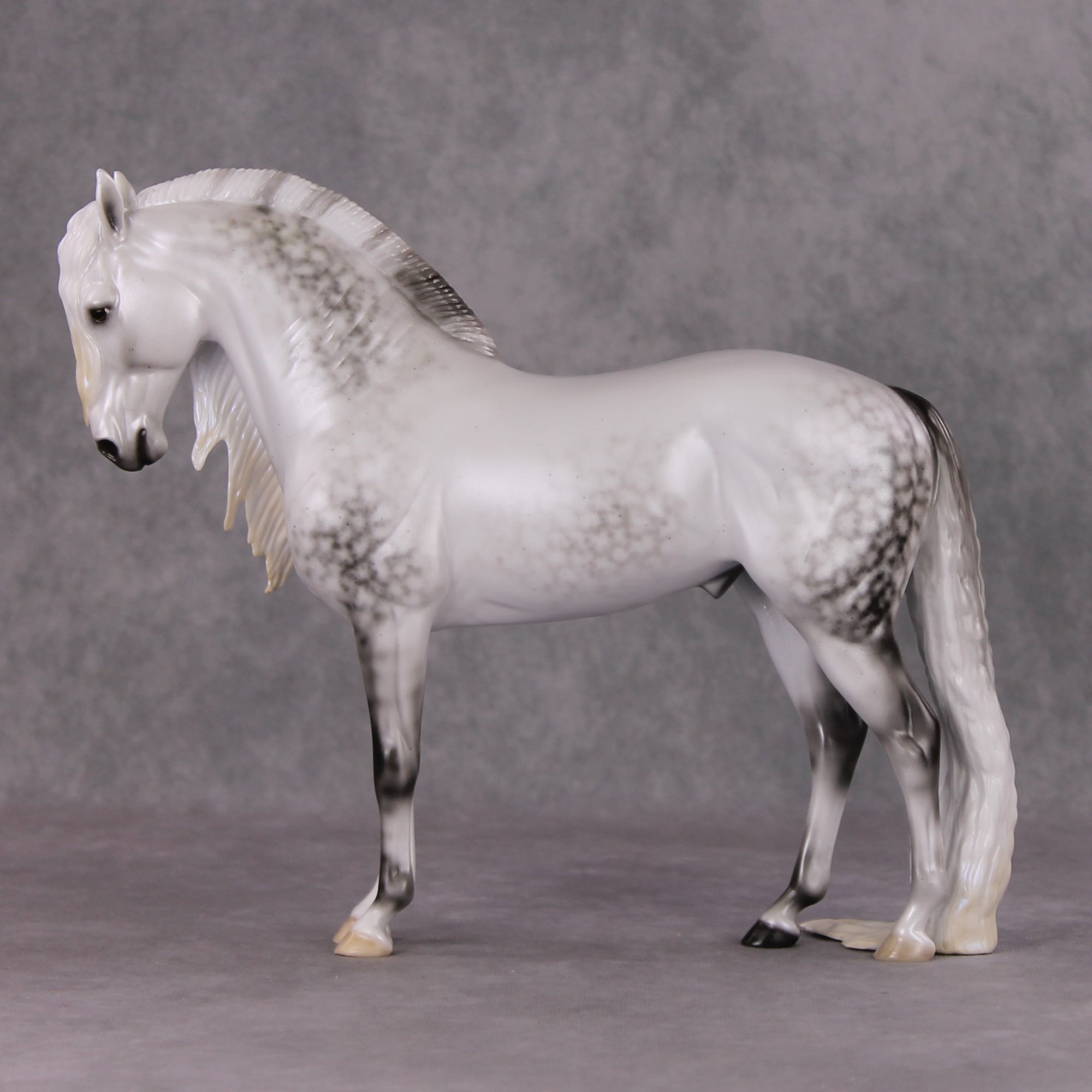 Dazzled Dream OOAK Light Dapple Pearl Grey W/ Blue Interference Andalusian By Ellen Robbins HS24 Online Drawing OOAK