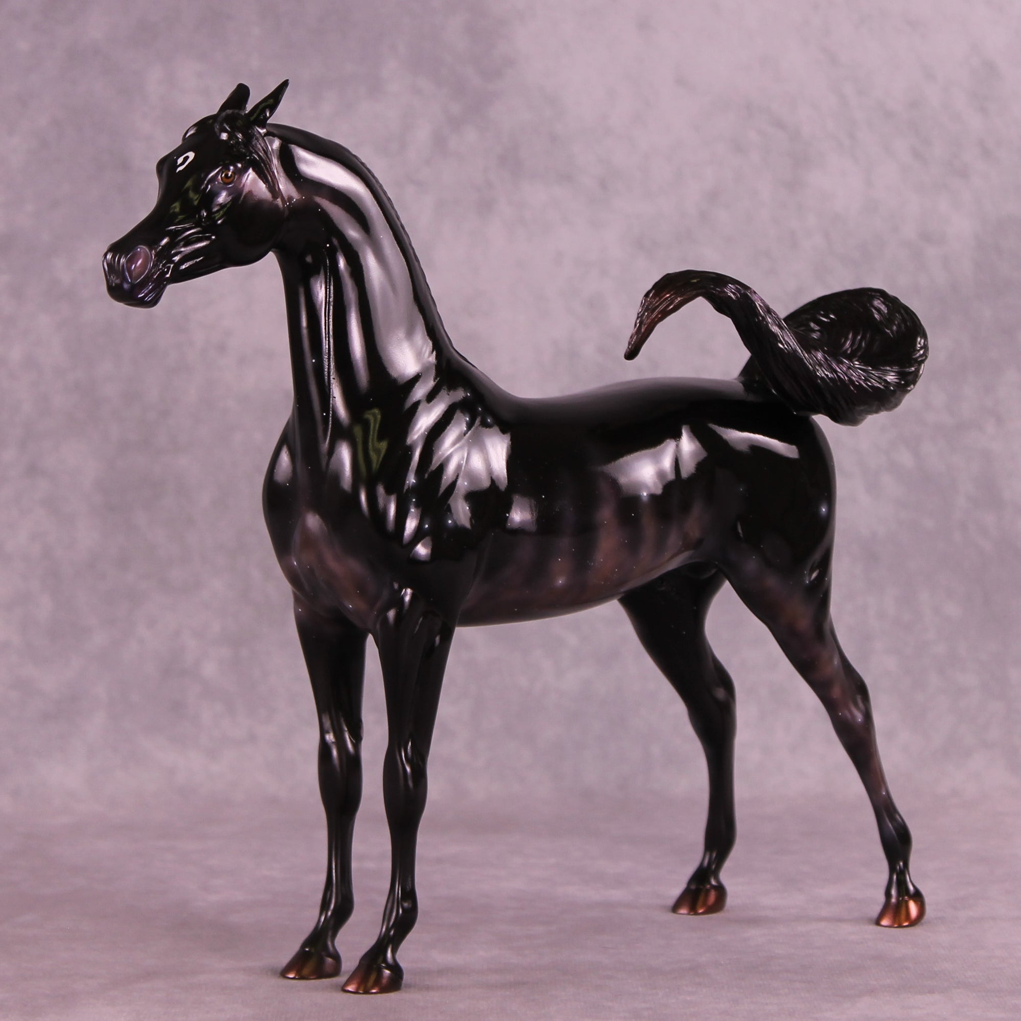 Sargas LE-10 EFCM Arabian Stallion by Ashley Palmer ZS25