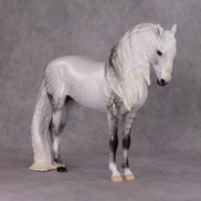 Dazzled Dream OOAK Light Dapple Pearl Grey W/ Blue Interference Andalusian By Ellen Robbins HS24 Online Drawing OOAK