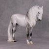 Dazzled Dream OOAK Light Dapple Pearl Grey W/ Blue Interference Andalusian By Ellen Robbins HS24 Online Drawing OOAK
