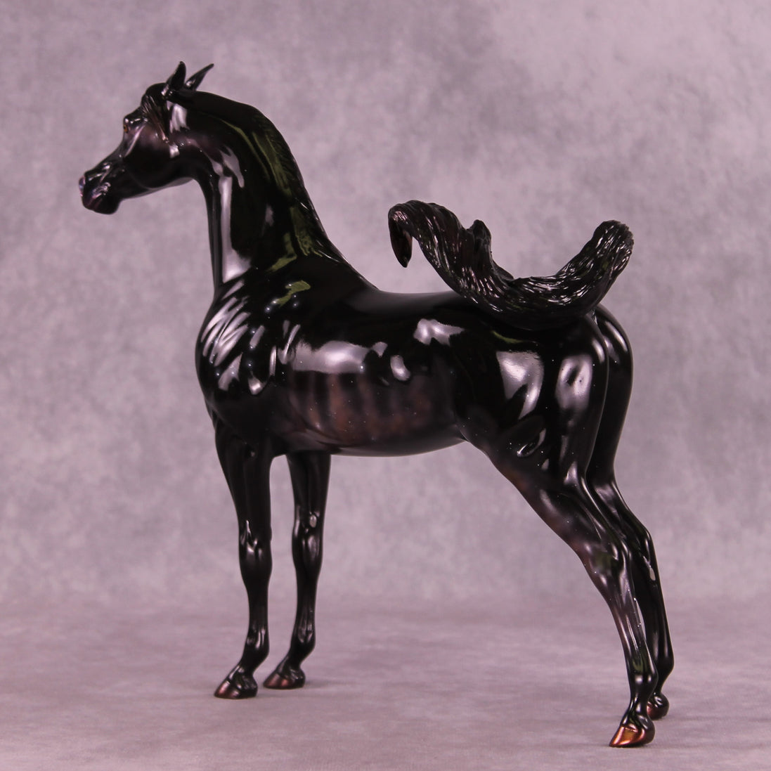 Sargas LE-10 EFCM Arabian Stallion by Ashley Palmer ZS25