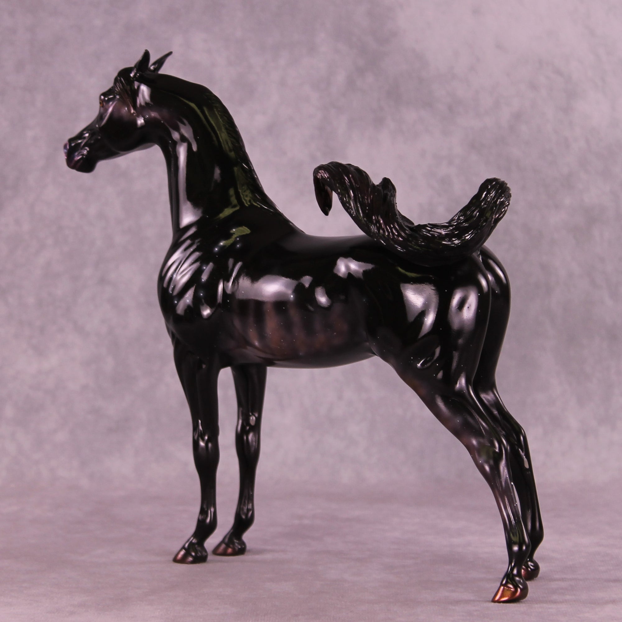 Sargas LE-10 EFCM Arabian Stallion by Ashley Palmer ZS25