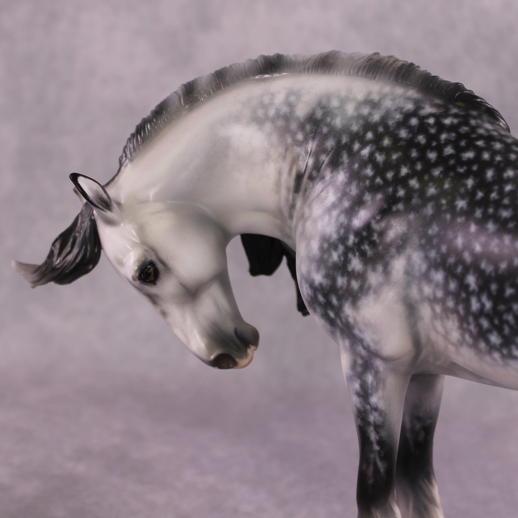 "Lady Madonna" OOAK EFCM Andalusian By Jess Hamill SHCF25 Best Offer 5/27/25