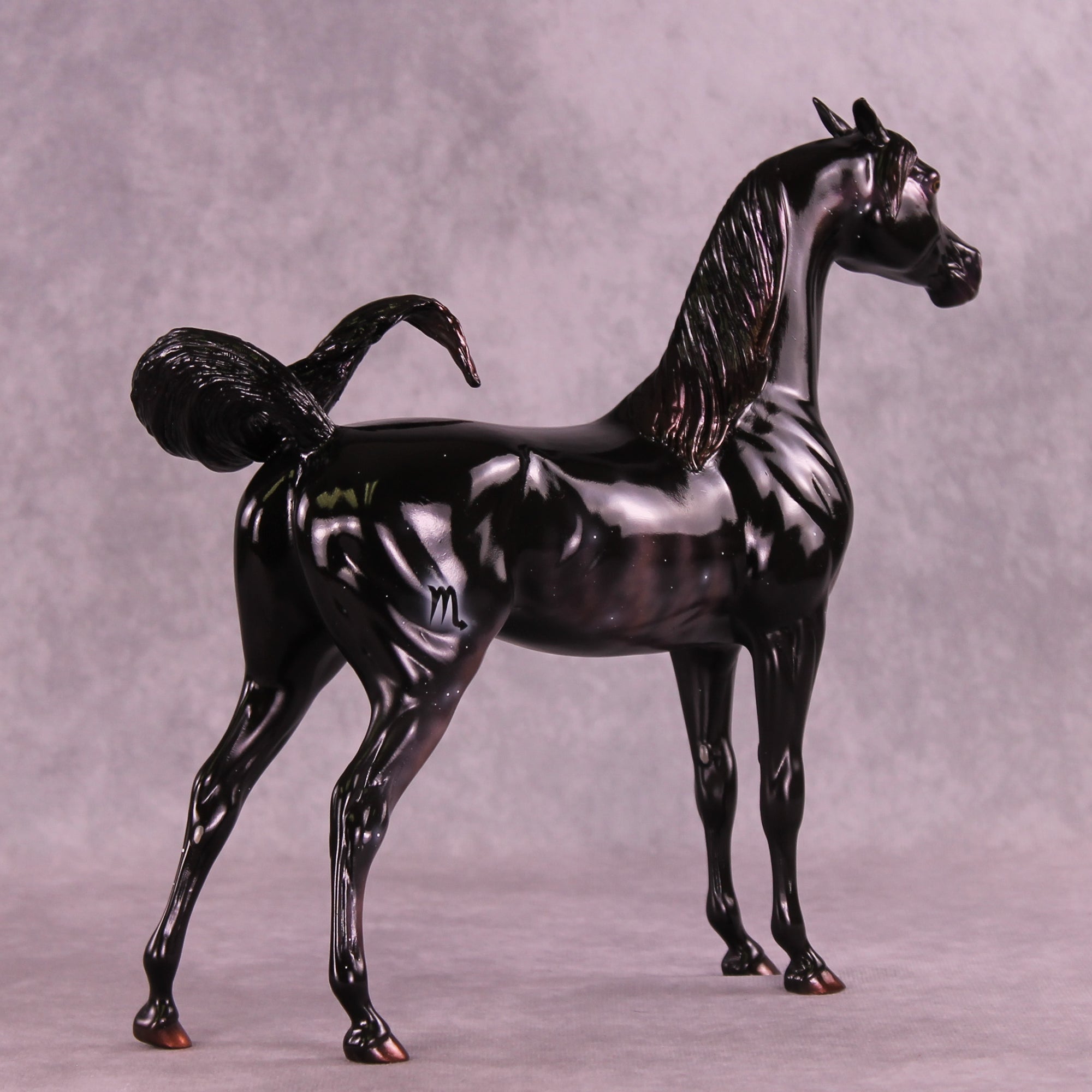 Sargas LE-10 EFCM Arabian Stallion by Ashley Palmer ZS25