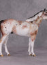 Peppercorn OOAK Bay Roan Leopard Appaloosa ISH By Dawn Quick HS24 Online Drawing OOAK