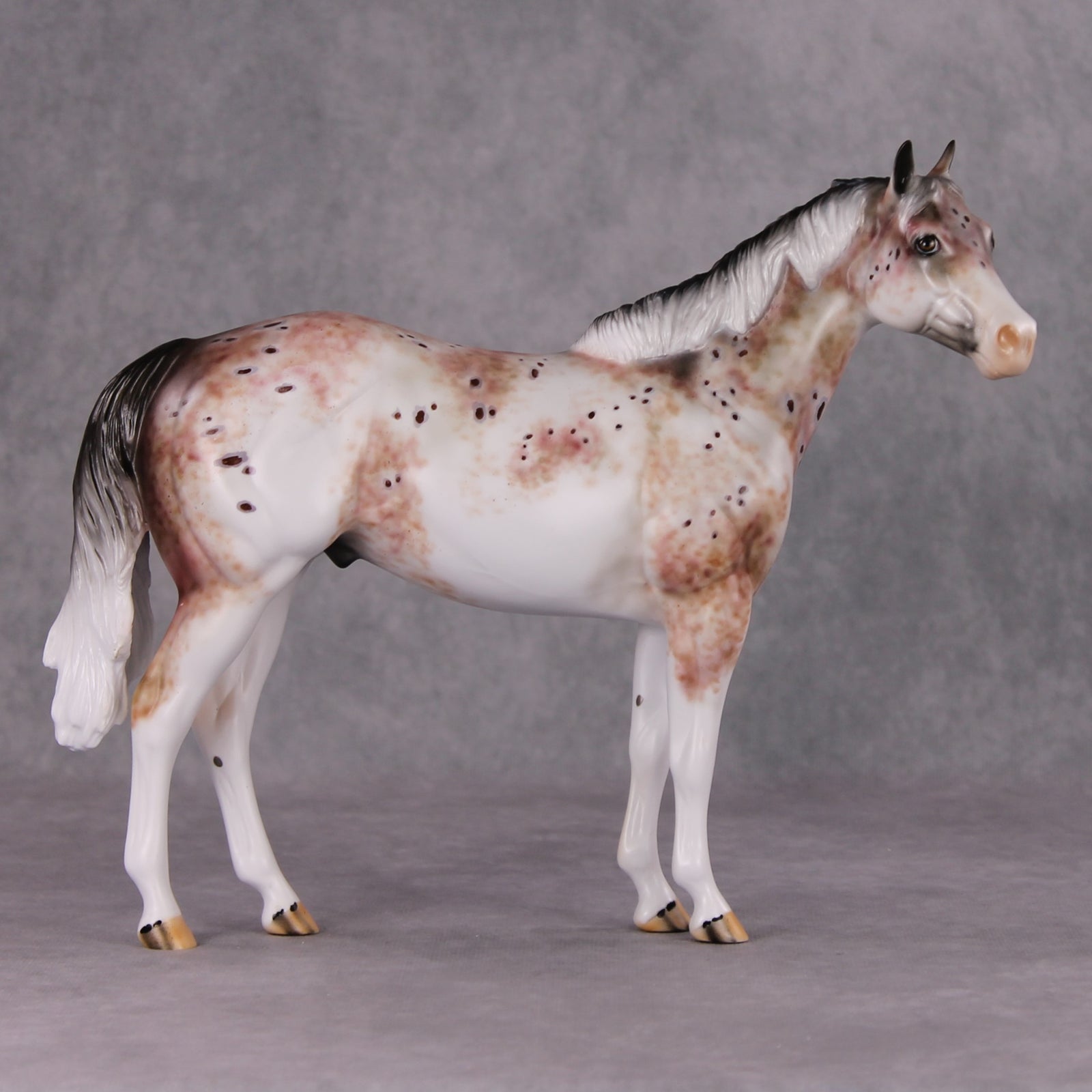 Peppercorn OOAK Bay Roan Leopard Appaloosa ISH By Dawn Quick HS24 Online Drawing OOAK