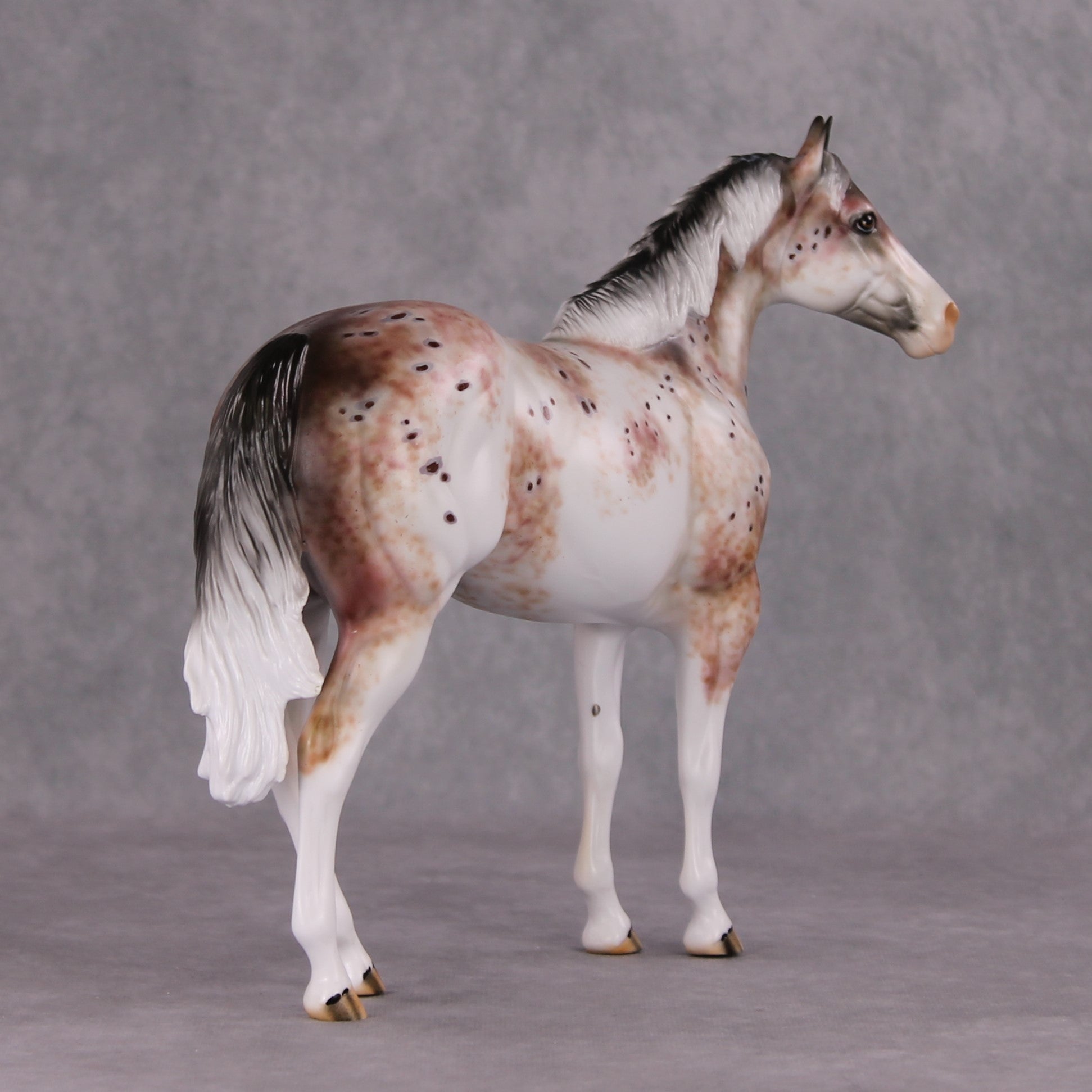Peppercorn OOAK Bay Roan Leopard Appaloosa ISH By Dawn Quick HS24 Online Drawing OOAK