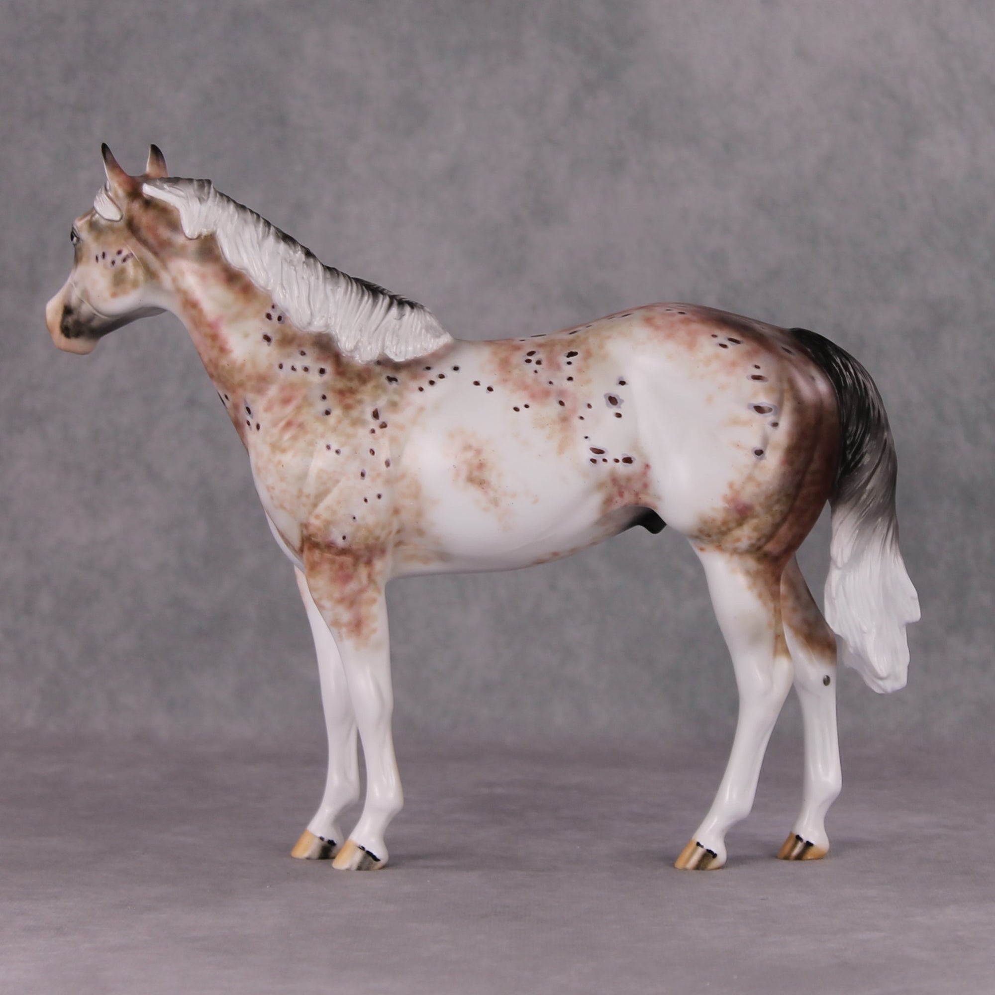 Peppercorn OOAK Bay Roan Leopard Appaloosa ISH By Dawn Quick HS24 Online Drawing OOAK