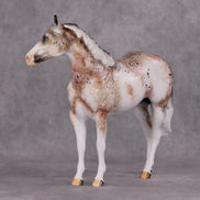 Peppercorn OOAK Bay Roan Leopard Appaloosa ISH By Dawn Quick HS24 Online Drawing OOAK
