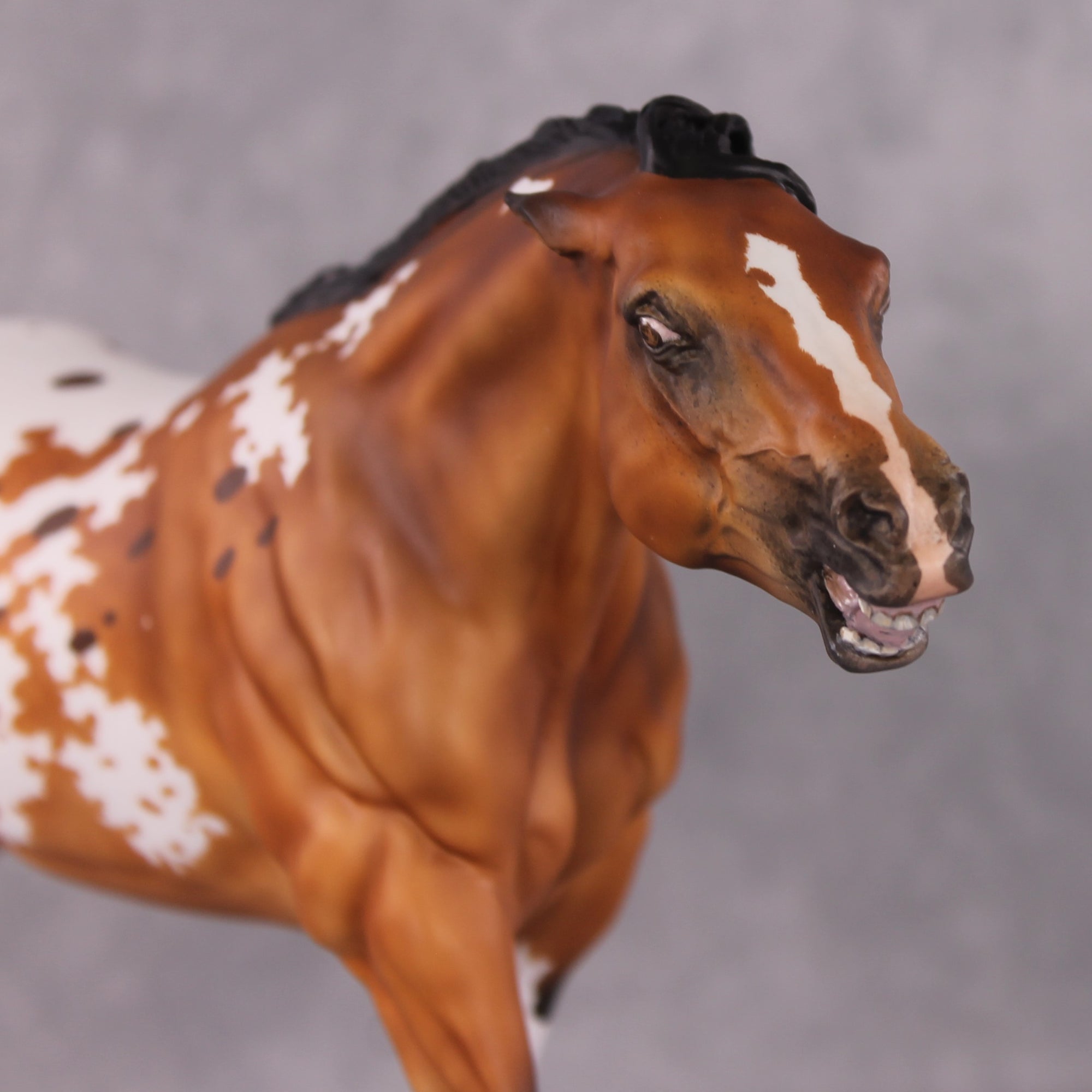 "Salispian" OOAK EFCM Remington By Maggie Jenner-Bennett