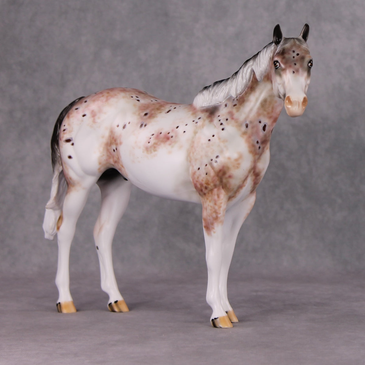 Peppercorn OOAK Bay Roan Leopard Appaloosa ISH By Dawn Quick HS24 Online Drawing OOAK