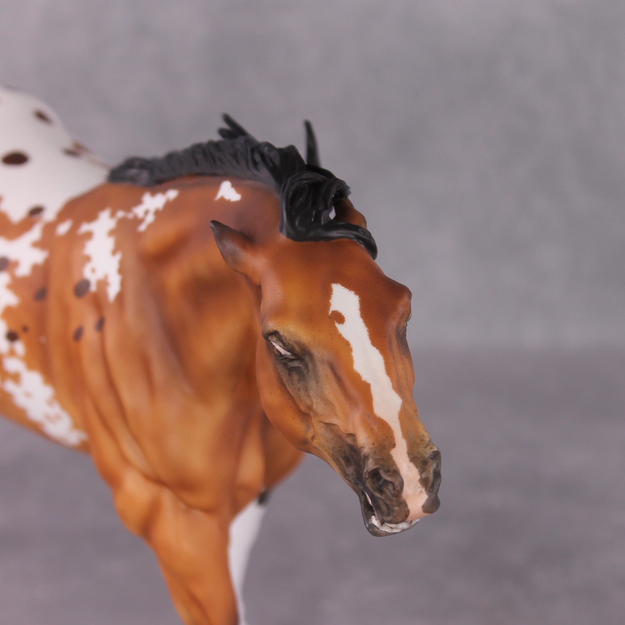 "Salispian" OOAK EFCM Remington By Maggie Jenner-Bennett