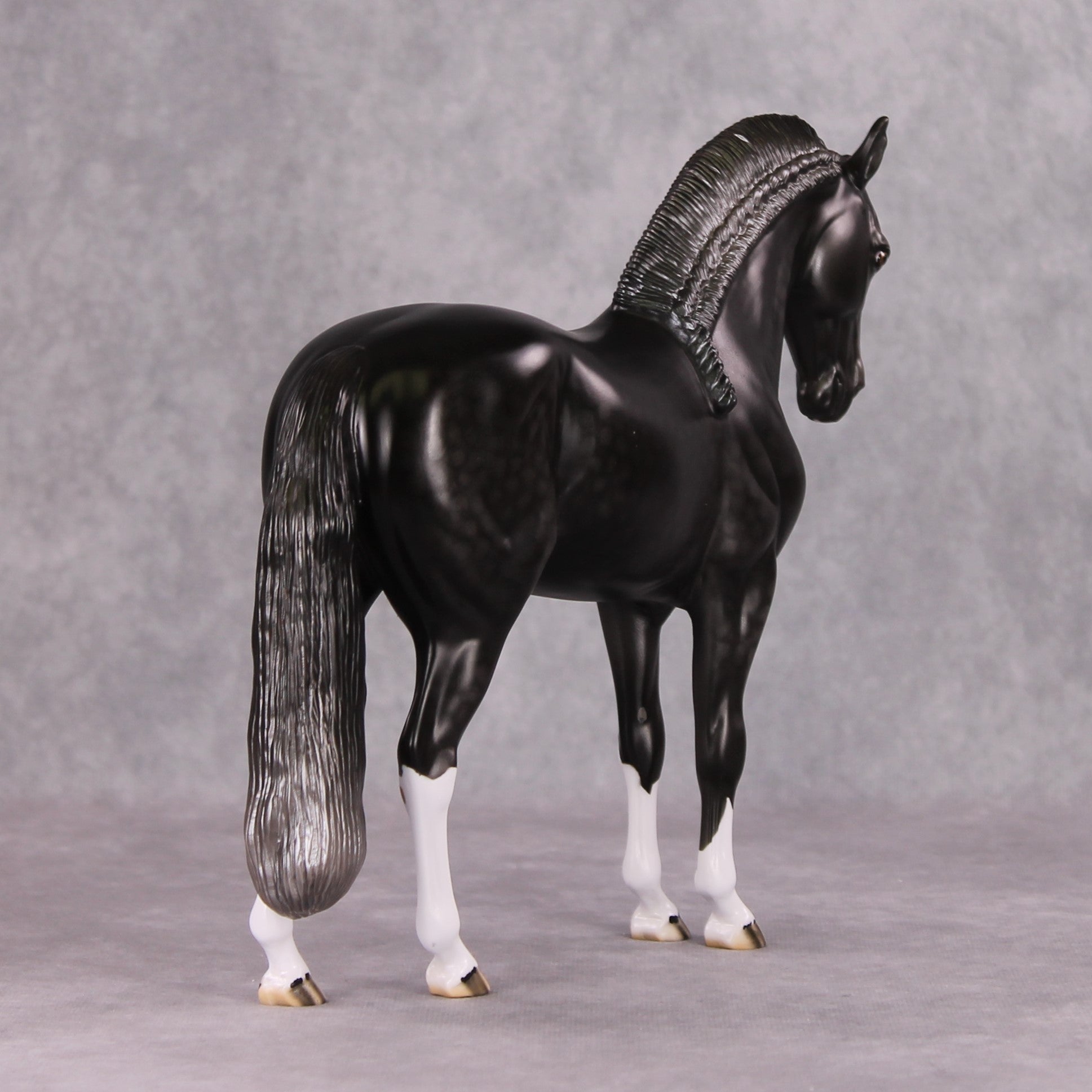 Graphite OOAK Dark Dapple Grey Custom Andalusian By Dawn Quick HS24